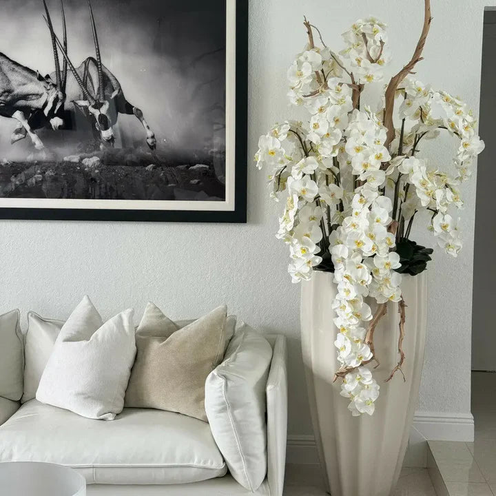 EchoBloom Zimmerblumen
