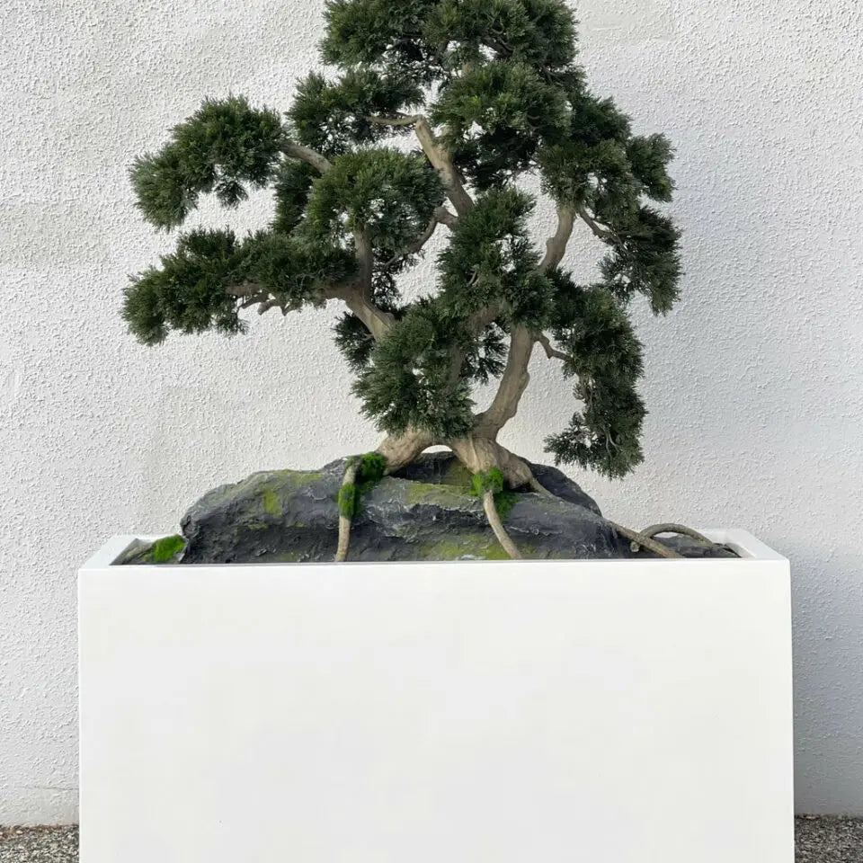 EchoBloom Zimmerblumen