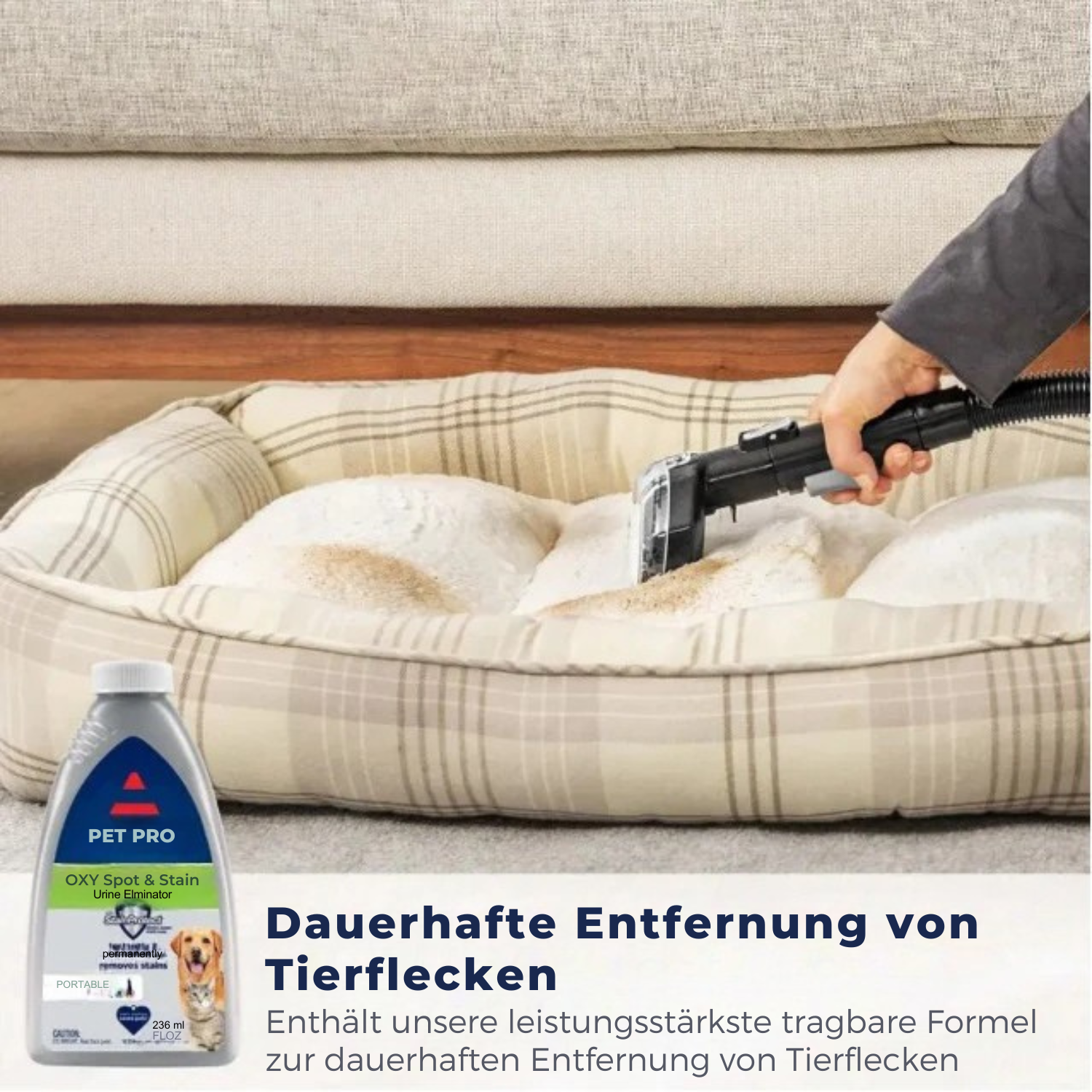 HomeGleam™ Tragbarer Teppich und Polstermöbelreiniger