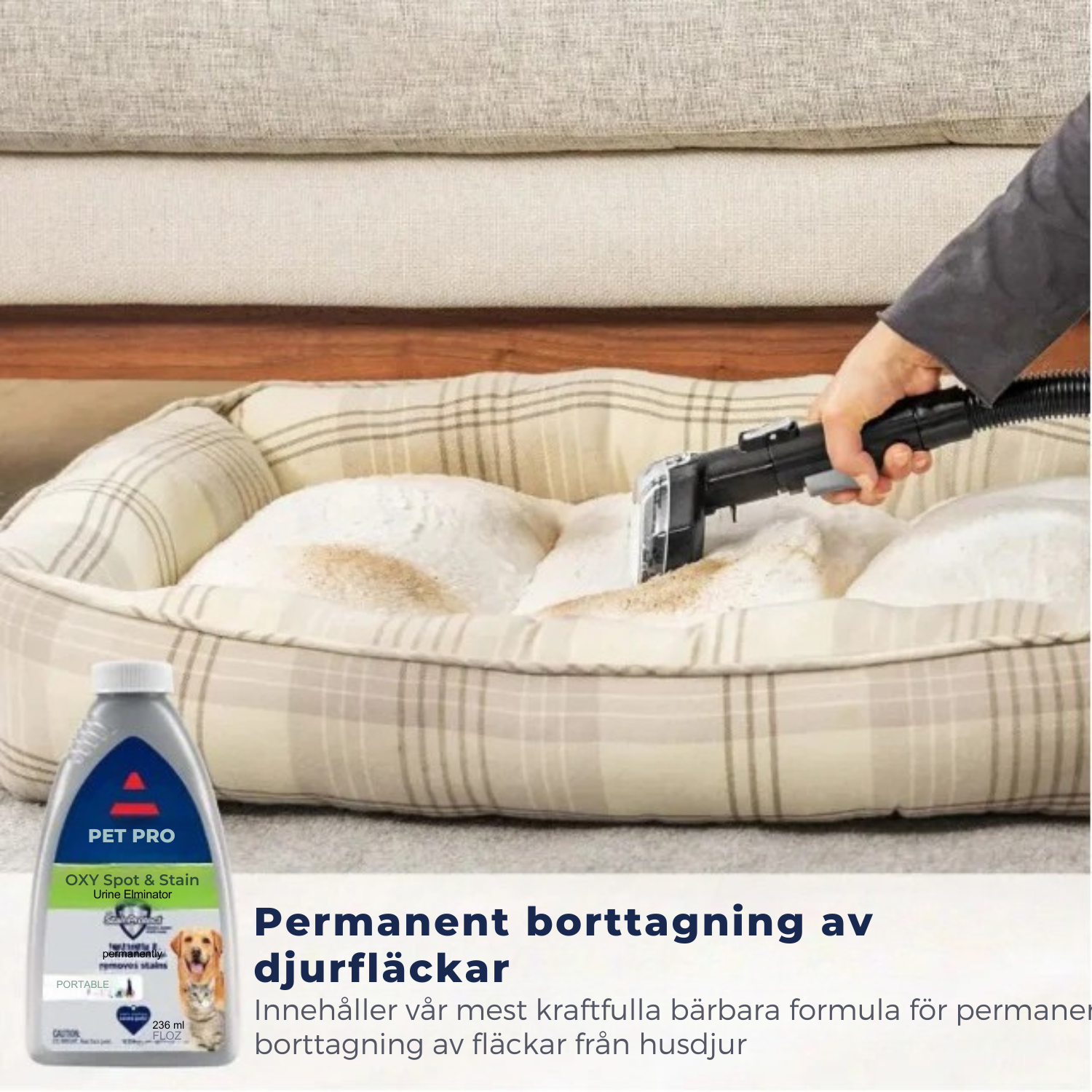 SteamLuxe™ Bärbar Djuprengörare för Mattor & Textilier